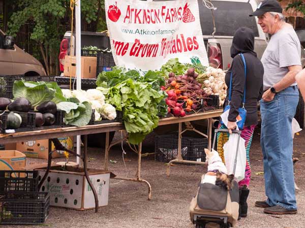 Memorial Villages Farmers Market